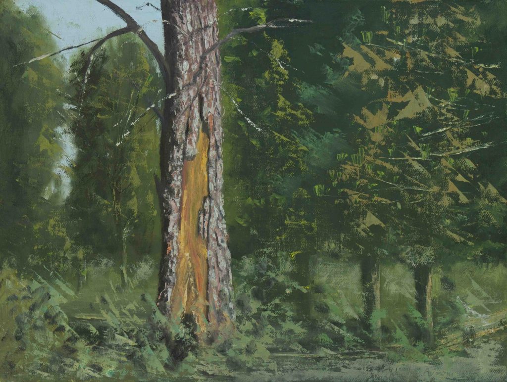 A trunk from Lachish in Ben Shemen  | oil on canvas