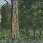 A trunk from Lachish in Ben Shemen  | oil on canvas