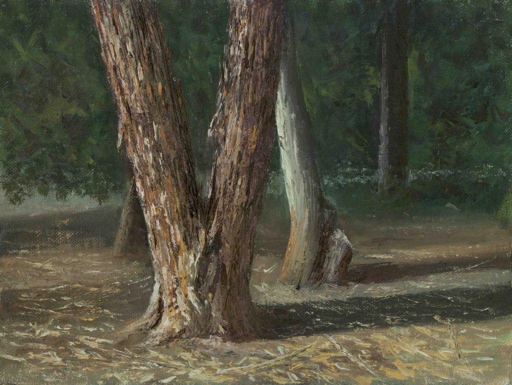 A trunk in Lachish stream  | oil on canvas