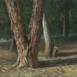 A trunk in Lachish stream  | oil on canvas