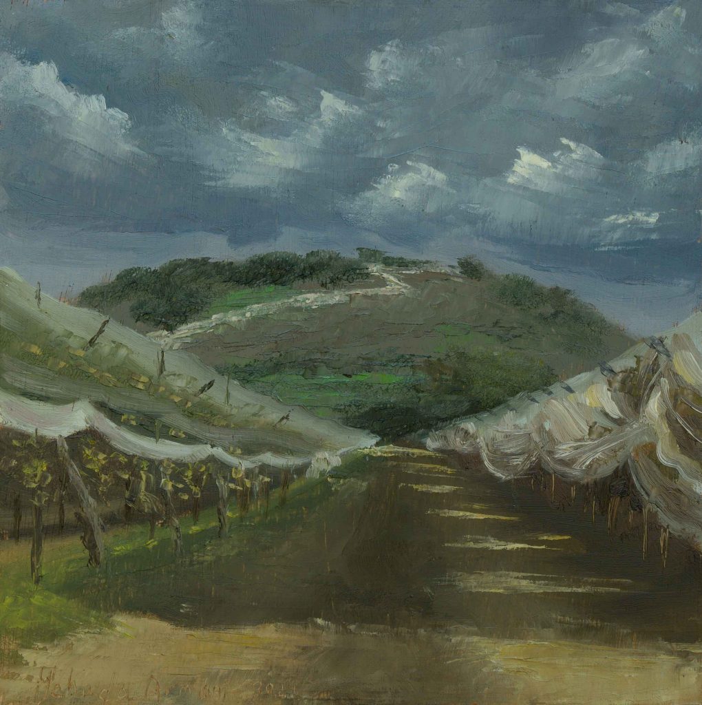 A vineyard in front of Hirbet Jadie oil on wood