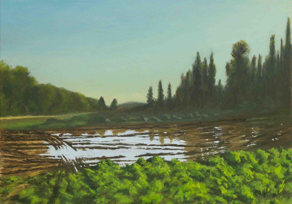 A winter pond in Ben Shemen Forest  | oil on canvas