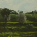 Almond trees in Titora hill  | oil on canvas