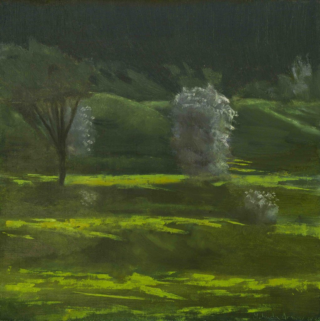 Almond trees in Titora hill | with dark backround, oil on canvas