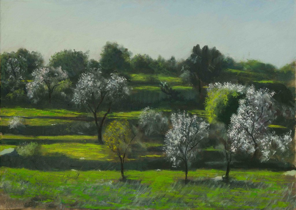 Almond trees in Titora  | oil on canvas