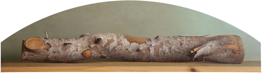Composition with dry tree trunk on wooden shelf | oil on board