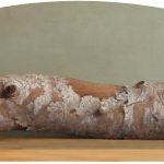 Composition with dry tree trunk on wooden shelf | oil on board