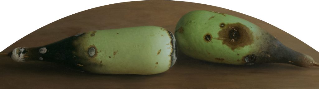 Composition with rotting Hard-shelled Gourd  | oil on board