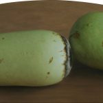 Composition with rotting Hard-shelled Gourd  | oil on board