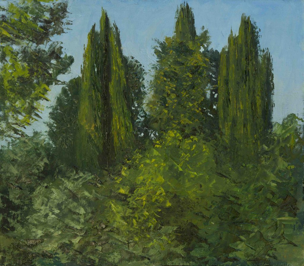 Cypress hill  | oil on canvas