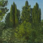 Cypress hill  | oil on canvas