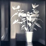 Elena's Flower | Acrylic on canvas