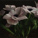 Open expanse,oil on linen mounted on board