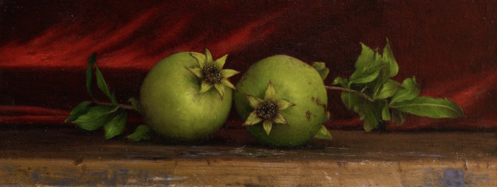 Pomegranets from my garden untimely plucked | oil on linen mounted on board