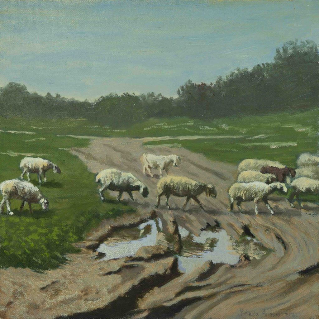 Sheep and pond in Ben Shemen Forest | oil on canvas