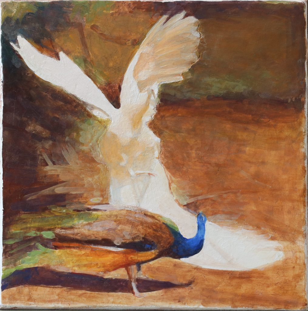 The white Peacock | fresco on terracotta panel