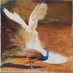 The white Peacock | fresco on terracotta panel