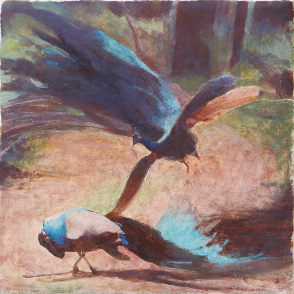 Turquoise Peacocks | frescu