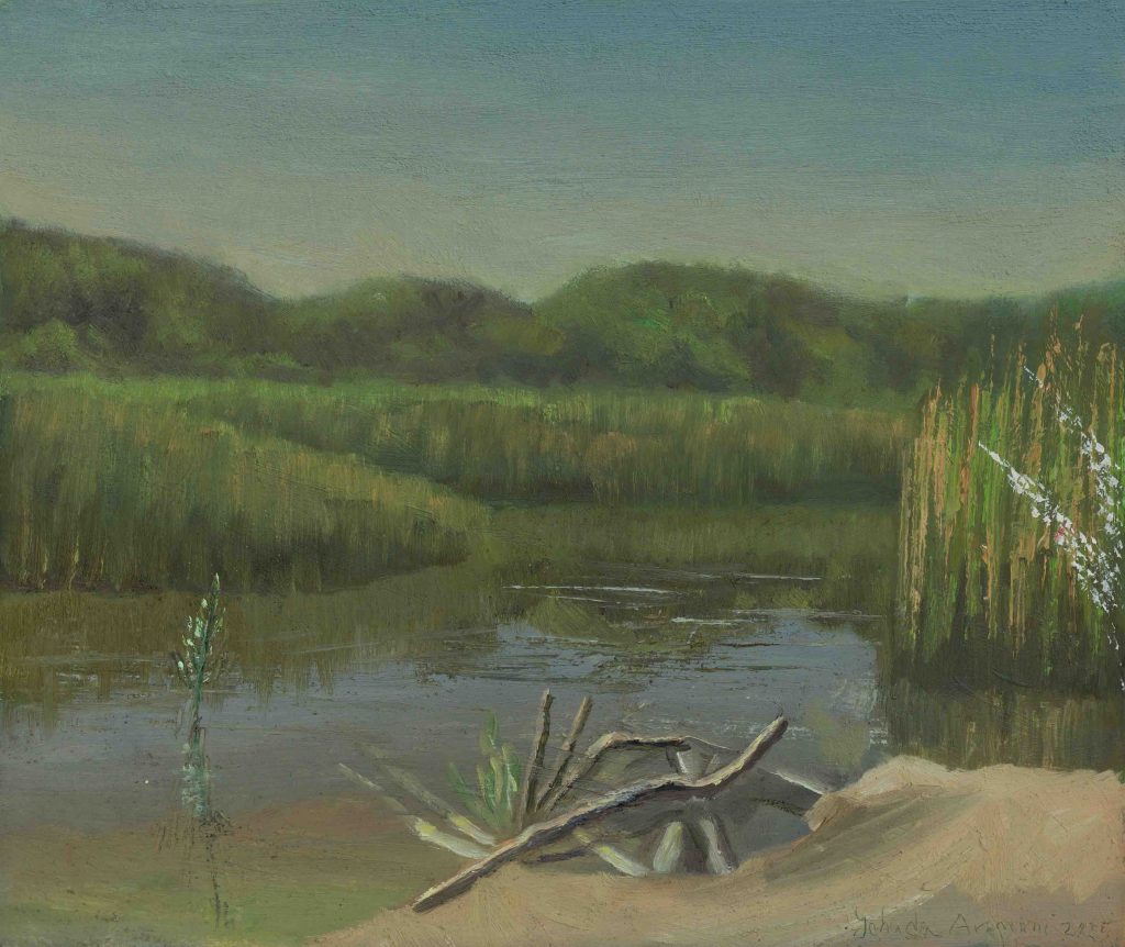 Winter lake in Nitzanim  | oil on canvas