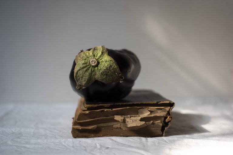 Osnat Ben Dov | A New Dictionary