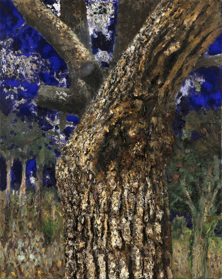 Ran Tenenbaum | Tree 2