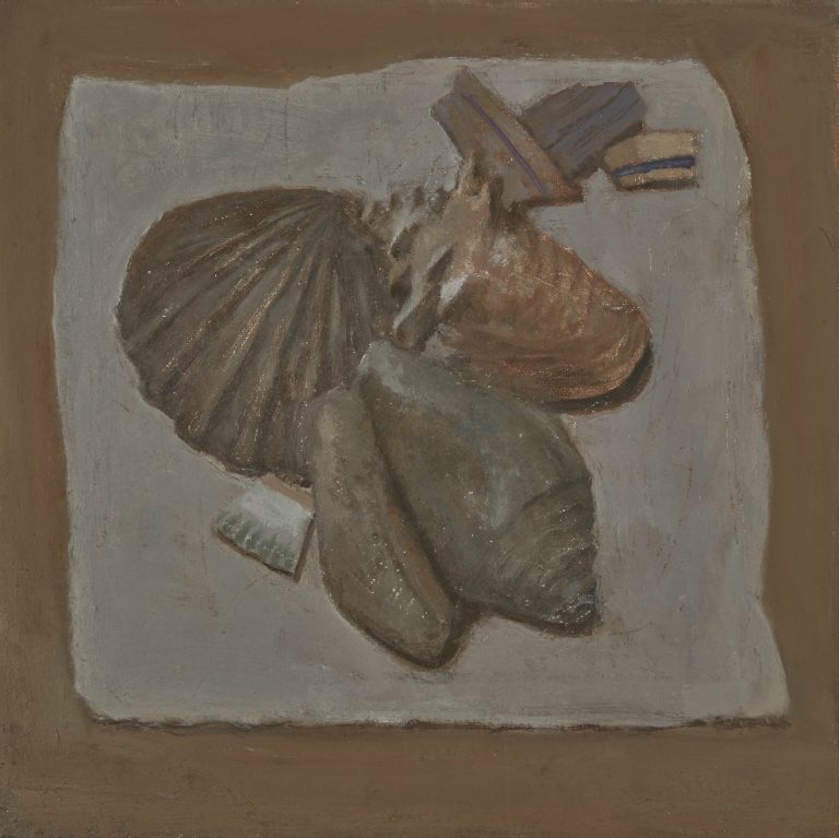 E.M. Saniga | fossils, shells and indian pottery