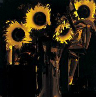 sun20col-gif
