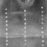 I'm here Too | charcoal on paper